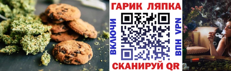 Canna-Cookies марихуана  Купить закладки  Нязепетровск 