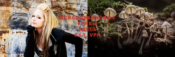 герыч Вязьма