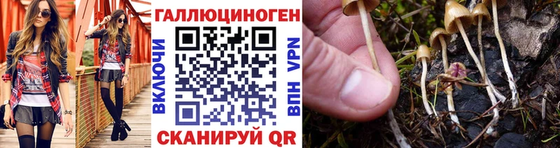 Купить закладки  Нязепетровск  Галлюциногенные грибы мицелий 